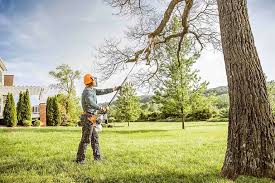 Best Lawn Maintenance Plans  in River Road, WA