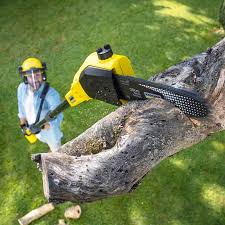 Best Commercial Tree Services  in River Road, WA