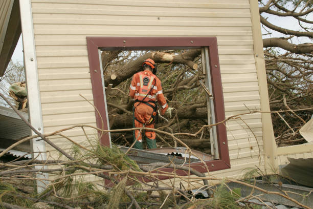 Best Tree Mulching  in River Road, WA