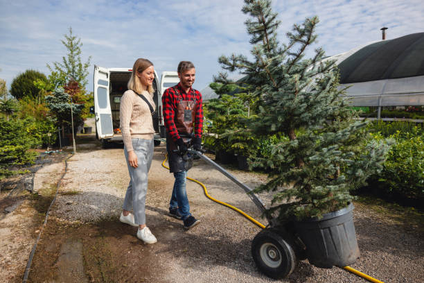 Best Weed Control  in River Road, WA